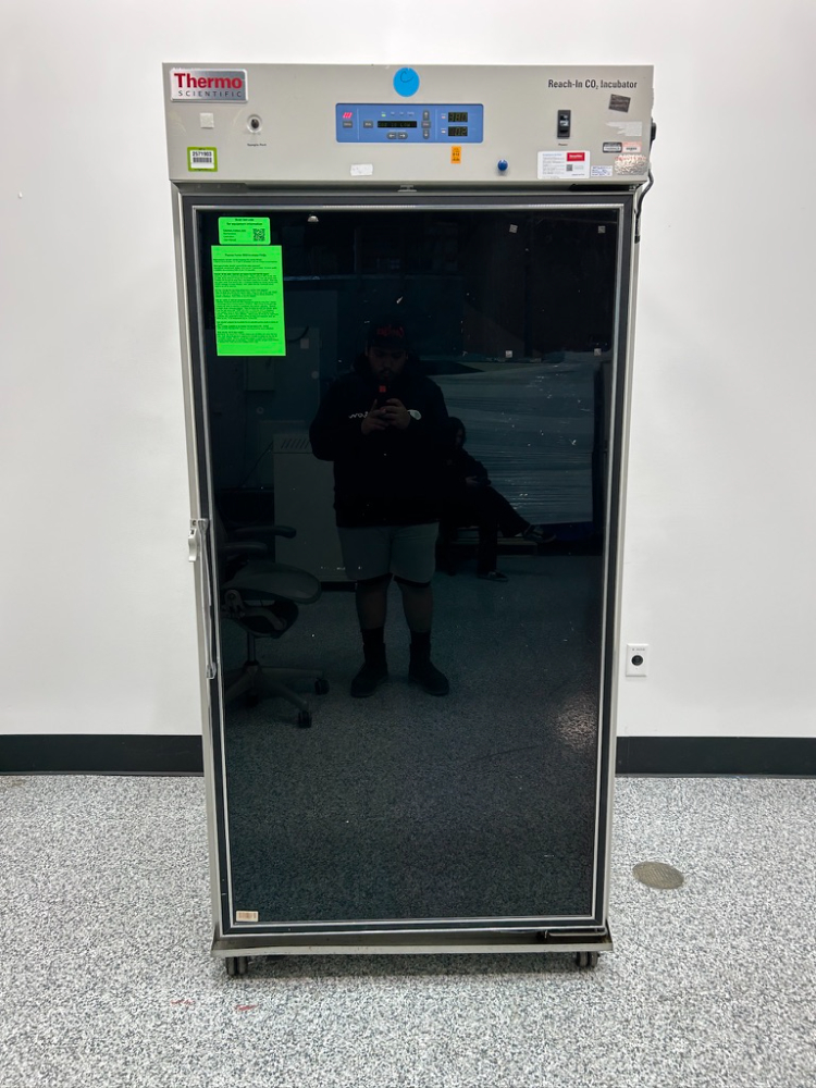 Image of Thermo Reach-In CO2 Incubator